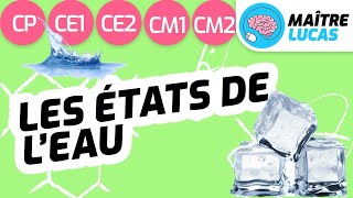 Les différents états de leau CE2  CP  CE1  CM1 Cycle 2  Cycle 3  Sciences Questionner le monde [upl. by Nahshun]