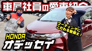 【ホンダオデッセイが愛車】車屋スタッフの正直レビュー！内装＆外装＆カスタムをご紹介！コーティングにこだわる整備士！HONDA アブソルート [upl. by Moguel]