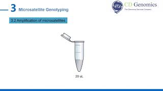 Microsatellite Genotyping [upl. by Yrolg]