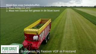 Stalvoeren bij Faassen VOF  Pure Graze Saladebuffet [upl. by Dray]