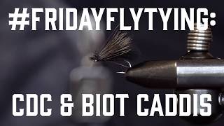 FRIDAYFLYTYING CDC amp Biot Caddis [upl. by Lyman]