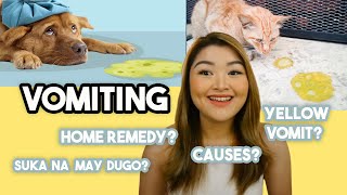 NAGSUSUKA NA ALAGA Bakit Home Remedy Yellow vomit  Arah Virtucio [upl. by Shepperd]