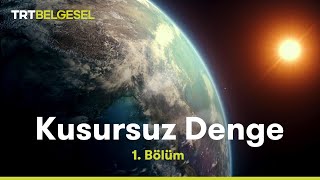 Kusursuz Denge  Dünya  TRT Belgesel [upl. by Lansing426]