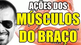 Vídeo Aula 108  Anatomia Humana  Sistema Muscular Ações dos Músculos do Braço [upl. by Isolt]