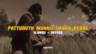 Pattuduth Munnil Vanna Penne  slowedreverb  4nzyyyy [upl. by Adnawat]