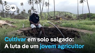 Cultivar em solo salgado A luta de um jovem agricultor em Cabo Verde [upl. by Enytsirk197]