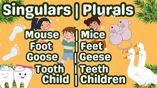 Singular and Plural Nouns  Flashcards of Singular Plurals  Learning for Kindergarten students [upl. by Caitlin268]