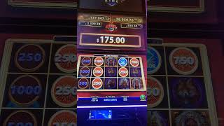 megaking playcity mexico slotmachine [upl. by Esihcoc]