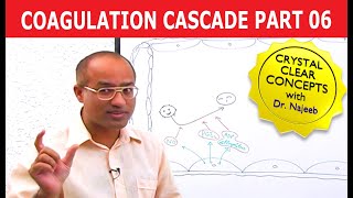 Coagulation Cascade  Part 612 [upl. by Suoivatram]