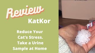 How to Use Katkor Home Urine Kit  How to Stop Your Cat Getting Stressed With Vet Visits Under £4 [upl. by Sarkaria]