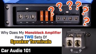 Your MONOBLOCK Amplifier has TWO SETS of Speaker Terminals  WHY [upl. by Eelram]