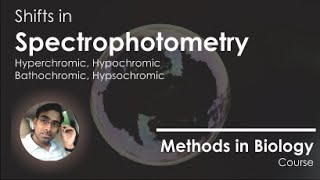 Hyperchromic Hypochromic Hypsochromic and Bathochromic Shifts [upl. by Kimbra]