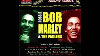 Bob Marley  Redemption Songs  Circuito Reggae 3 [upl. by Portugal]