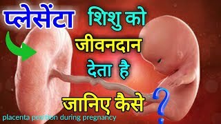 Placenta Kya Hai  Placenta Position During Pregnancy  Pink Glow [upl. by Gahan]