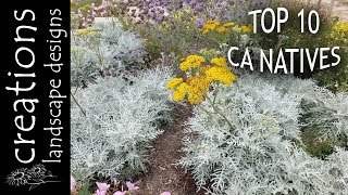 Top 10 California Native Plants [upl. by Anel768]