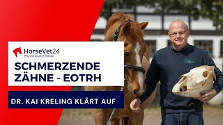 EOTRH beim Pferd wenn die Zähne schmerzen EOTRH erkennen [upl. by Sopher840]