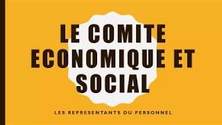 Le COMITE ECONOMIQUE ET SOCIAL [upl. by Lleynad939]