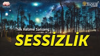 Tek Kelime Satsang SESSİZLİK canlı yayın [upl. by Dewar]