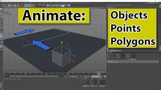 Create a very simple animation  Animate objects polygons or points  CINEMA 4D  ❤️ C4D4U [upl. by Clay68]