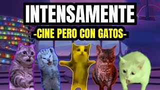 INTENSAMENTE  cine pero con gatos meme de gatos [upl. by Engracia]