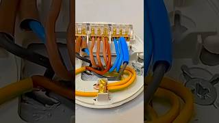 2 Big Reasons to Use 3Core Wire at Ceiling Rose [upl. by Llewkcor]