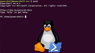 Challenged to use PowerShell on Linux [upl. by Yonina135]