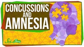 How Do Concussions Cause Amnesia [upl. by Christel]