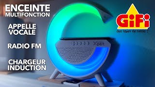 Enceinte multifonction bluetooth chez GIFI radio FM lecteur chargeur sans fil Homday Xpert lumisound [upl. by Aliac]