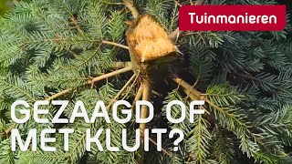 Kies je een gezaagde kerstboom of een boom met kluit  Kerst  Tuinmanieren [upl. by Yrrek169]