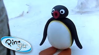 Pingus Big Trip  Pingu Official  Cartoons for Kids [upl. by Odnumde]