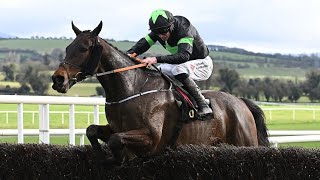 National contender Where it All Began looks good at Punchestown [upl. by Kcirddec]