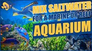 How To Mix Saltwater For Your Aquarium [upl. by Groscr]