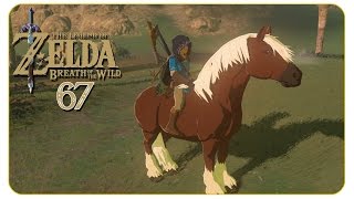 Hallo Epona 67 The Legend of Zelda Breath of the Wild  Lets Play [upl. by Nasas814]