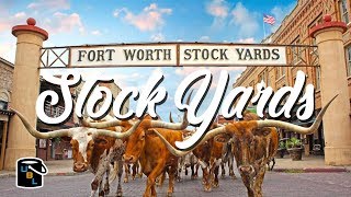 Fort Worth Stockyards  Cowboy Experience [upl. by Eremahs81]