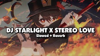 DJ STARLIGHT X STEREO LOVE Slowed  Reverb 🎧 [upl. by Nauwtna357]