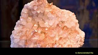 Calcite Type Fired Shell Powder of Bivalve Corbicula japonica Improved MalFunctions of Liver [upl. by Baun]