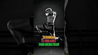 Teknik Serangan Flying Knee Yang Mematikan [upl. by Nevag]