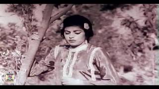 MAHI VE SANU PUL NA JAVI Super Hit  NOOR JEHAN  PAKISTANI FILM MALANGI [upl. by Paterson]