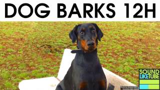 DOG BARKING 12 Hours Sound Effect [upl. by Aljan]