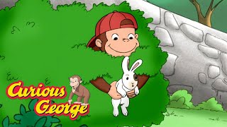 George Meets A New Animal Friend 🐵 Curious George 🐵 Kids Cartoon 🐵 Kids Movies [upl. by Valsimot29]