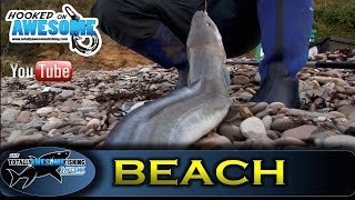 Shore fishing for BEGINNERS  Cod and Conger Eels  TAFishing Show [upl. by Ees]