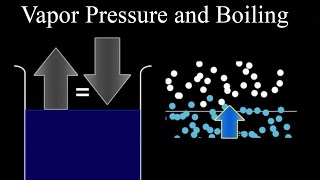 Vapor Pressure and Boiling [upl. by Petta]