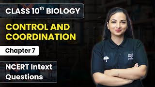 Control amp Coordination  NCERT Intext Questions  Class 10 Biology Chapter 7  CBSE 2024 [upl. by Lyrak706]