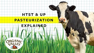 UP and HTST Pasteurization Explained  Ask Organic Valley [upl. by Lunseth]