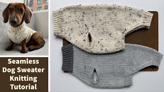 How to make a seamless dog sweater A stepbystep knitting tutorial [upl. by Gnahc110]