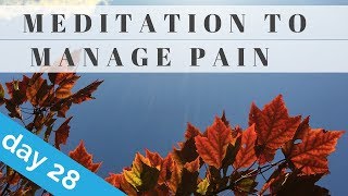 Quick Meditation for Pain Relief [upl. by Almeeta]