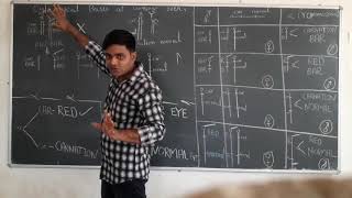 Cytological Basis of Crossing OverGPBAshwani Kumar Singh [upl. by Edouard256]