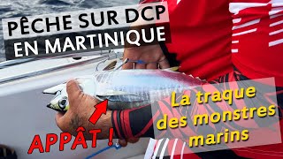 Recherche de POISSONS GEANTS sur DCP en MARTINIQUE lexpérience de PÊCHE ULTIME en mer des CARAIBES [upl. by Nuawad]