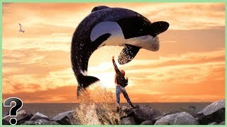 What If Killer Whales Went Extinct [upl. by Lilla]