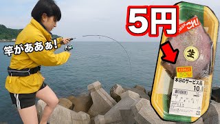 5円の魚で釣りをしたら…重っ…！ [upl. by Nnyrb]